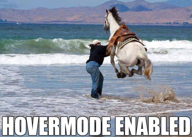 This horse can't swim, so he found an alternative method.