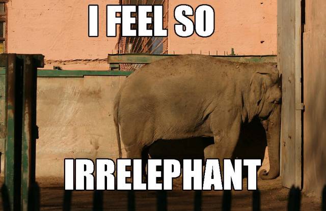 I have never played with an elephant nor been to Thailand...