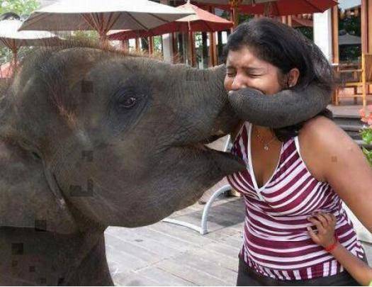 How would you title this picture? Reply in comments...