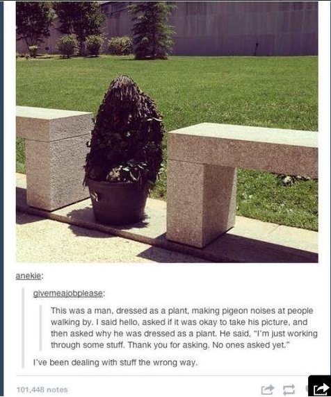 Man Dressed as a Plant
