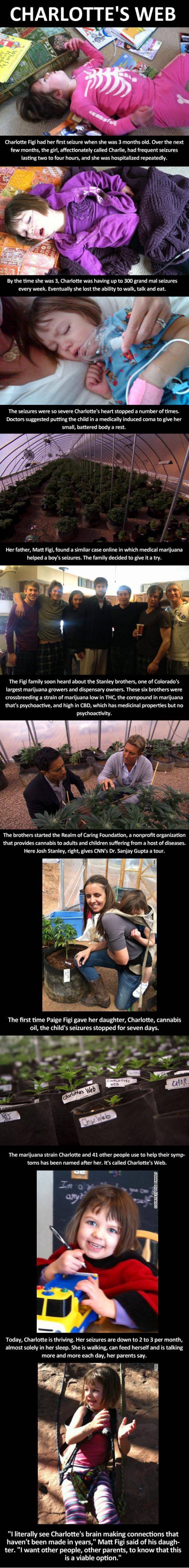 Heartwarming Medical Pot Story
