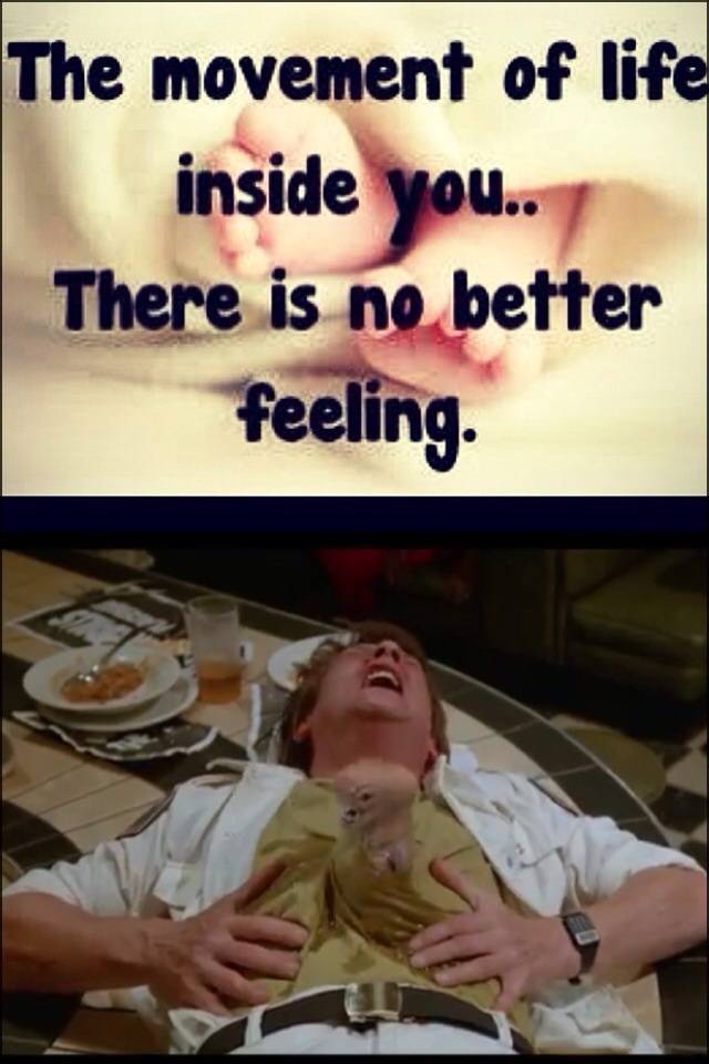 Pregnant girls have filled my newsfeed with this post one too many times.....I had to poop on their parade.