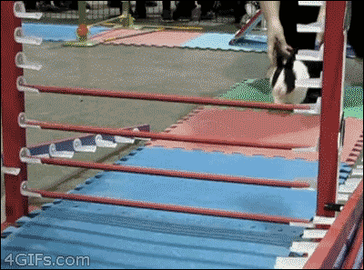 Work smarter, not harder
