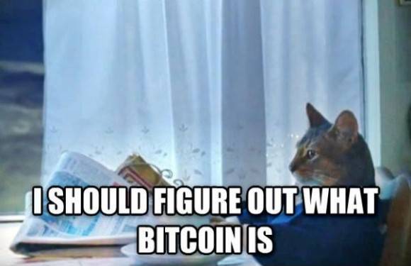 I have been thinking this everyday