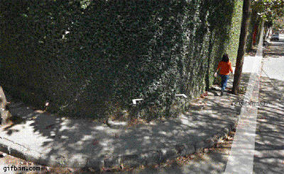 Fail caught on Google Maps