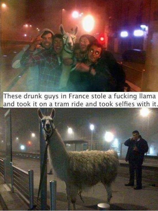 French drunk people