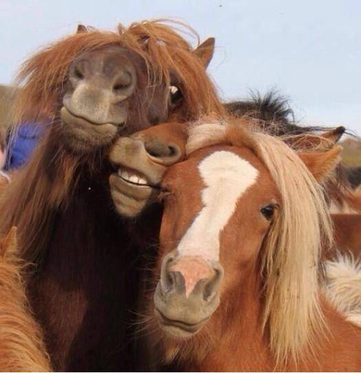 Every drunk girl pic on Facebook.