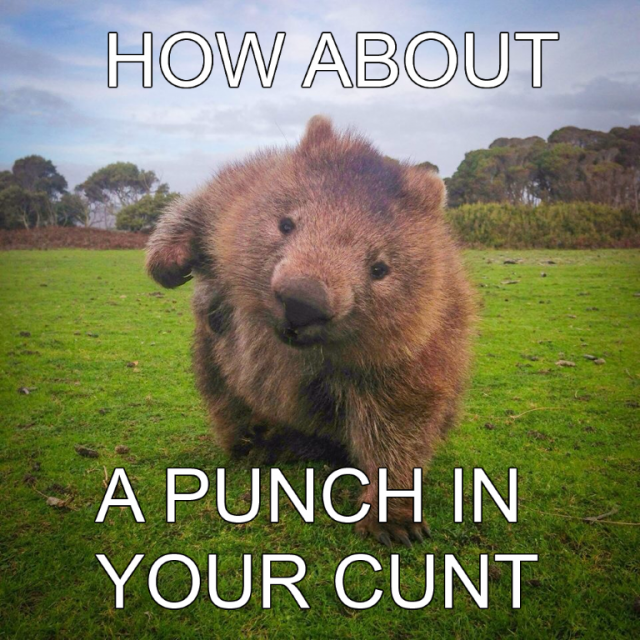 friendly Aussie..