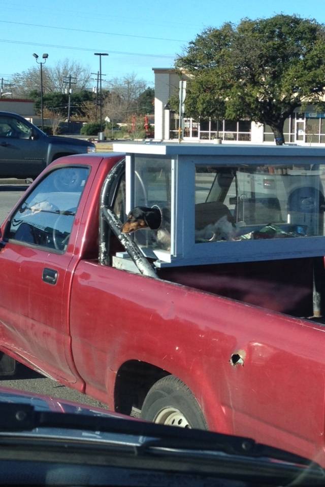 This man loves his dog!
