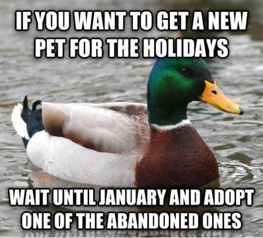 Just wait a few weeks, it’ll be worth it.