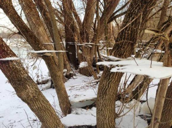 Trippy Ice Effect After Flood