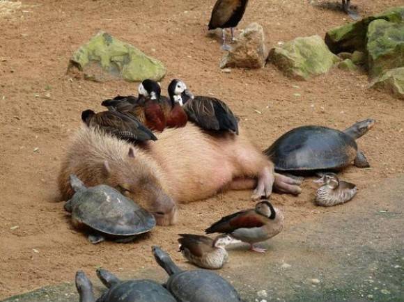You can find warmth and closeness in unlikeliest of places.