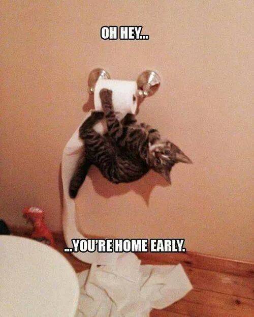 Oh hey...