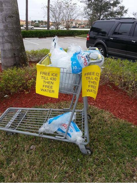 Meanwhile in Florida...