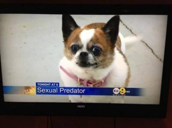 I laugh every time I see this.