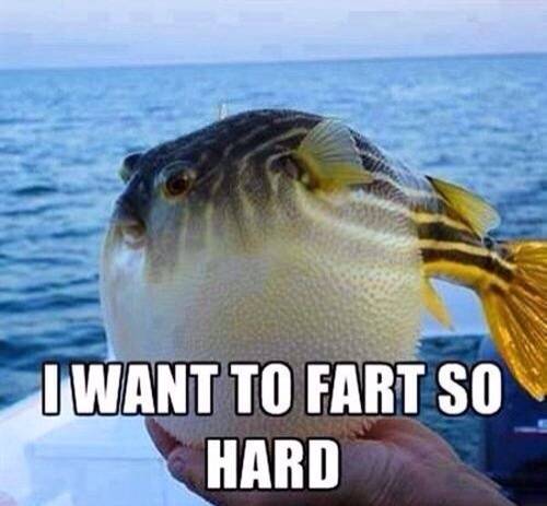 This is how I feel on Christmas with my family.