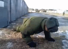 Russian fitness test