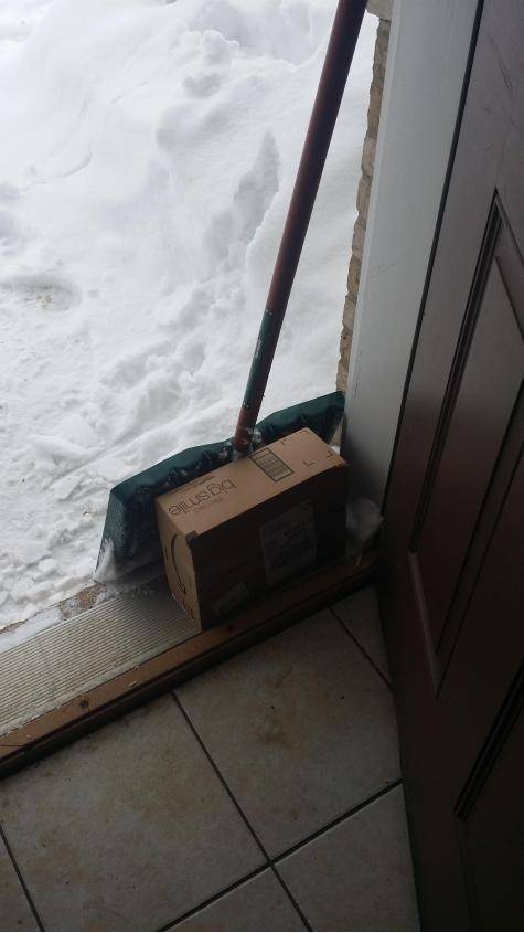 Good Guy UPS Delivery Man