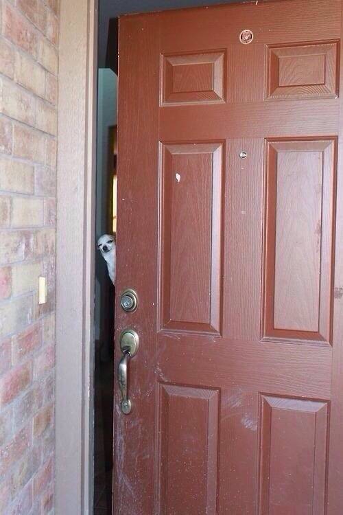 This picture never fails to make me laugh.