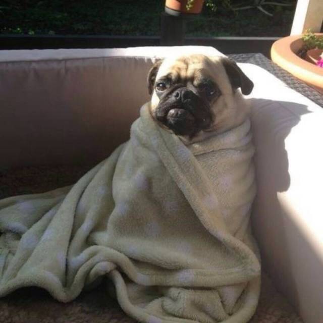 How I'll be spending New Years