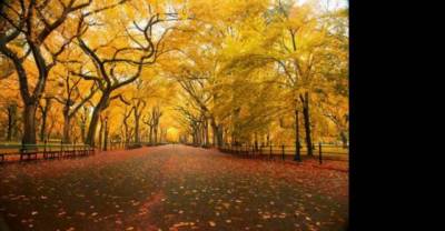 12 amazingly beautiful pictures of fall from around the world