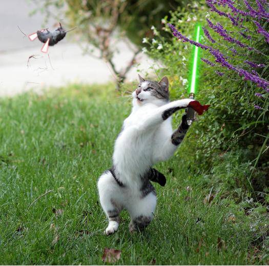 Everything looks cooler with lightsabers!