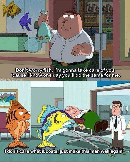 Care for your fish