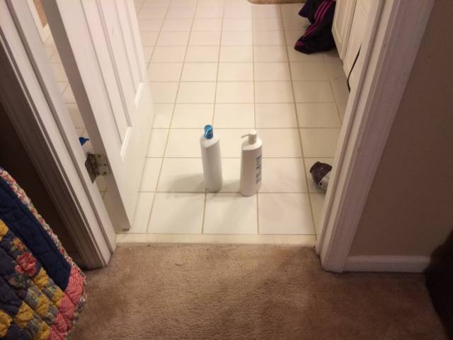 In his defense, I did say to put these in the bathroom. There is nothing like having a literal 2nd grader living in your house.