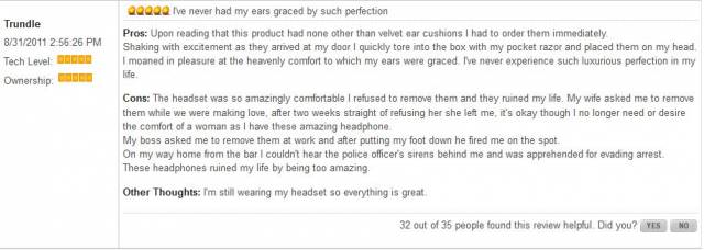 The best headphones review ever