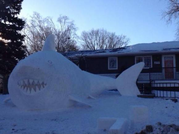 My friend and his brothers made this huge snow shark!