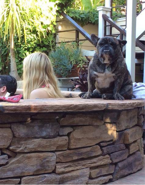 This is my gargoyle.