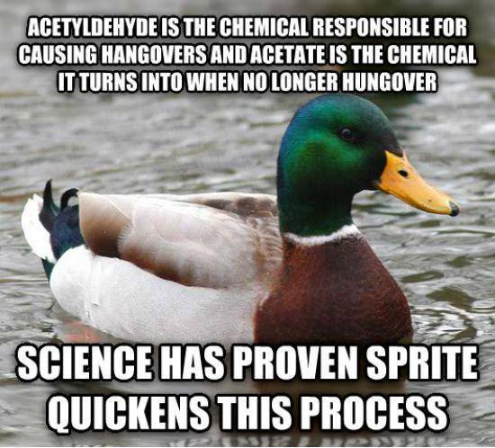 With NYE around the corner, take some advice ya drunks!