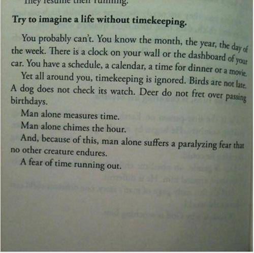Inspirational Quotes: Quote of the day