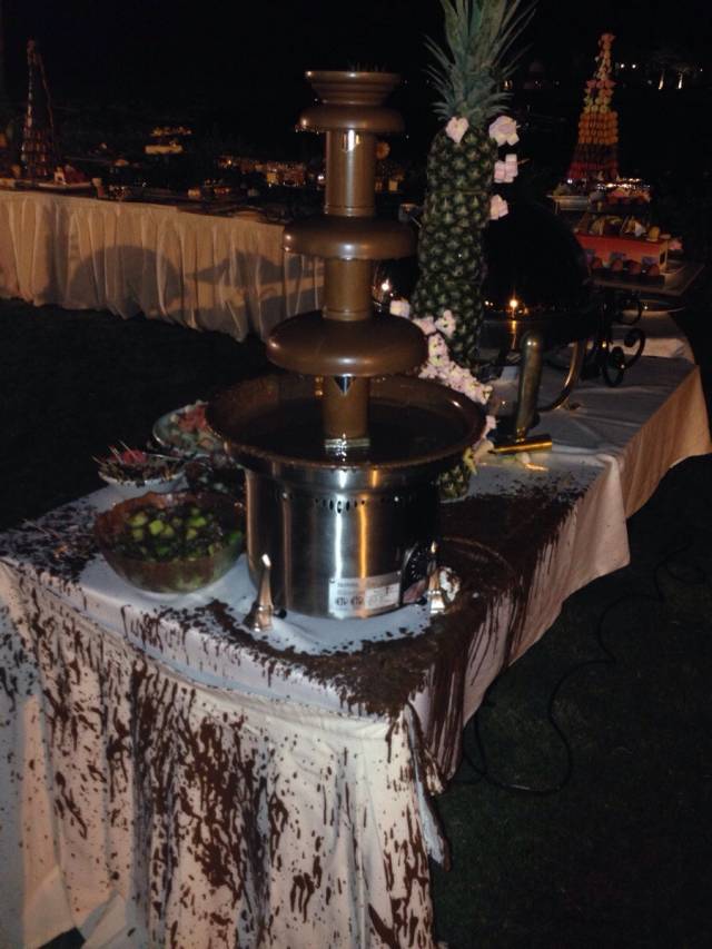 Ok, I reckon installing a chocolate fountain outdoors on a windy day may have been a sh*tty call...