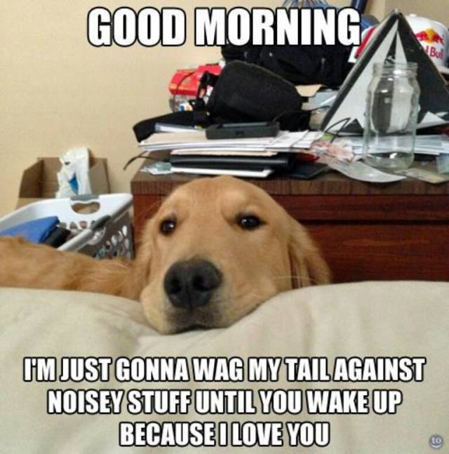 Every. Damn. Morning.