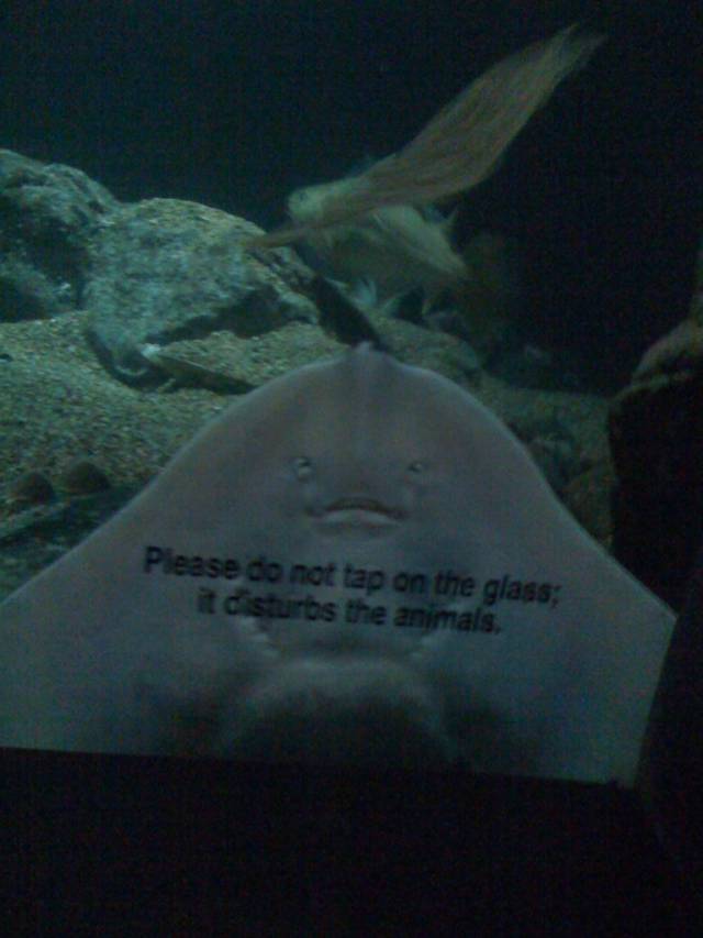 I think he's trying to tell me something...