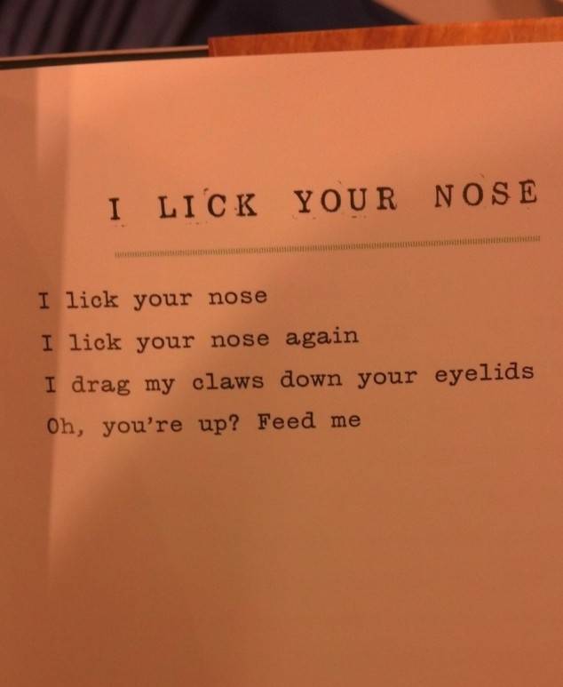 Poem by a Hungry Cat