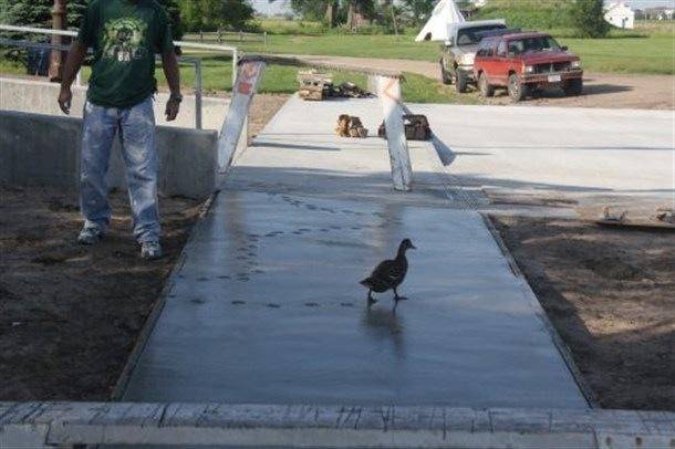 This duck...gave zero f*cks