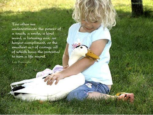 Inspirational Quotes: Quote of the day