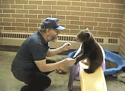 Why bears don’t trust people