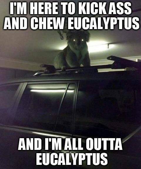 I'm Australian and these things scare me so much