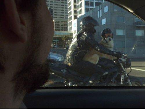A dog havin fun on the bike