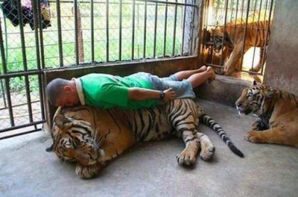 Planking