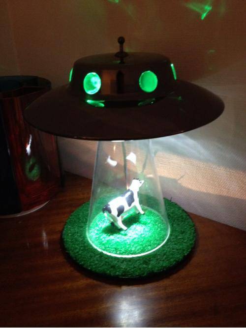 My friend’s awesome lamp.