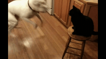 Slap
