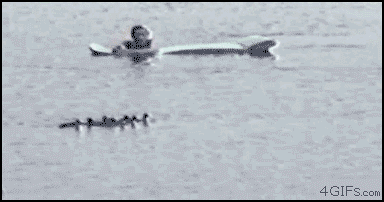 Instant karma of the day