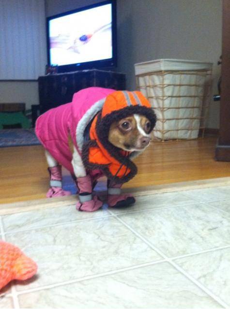 It will be -30 tonight... I'm sorry, this is just how it has to be.