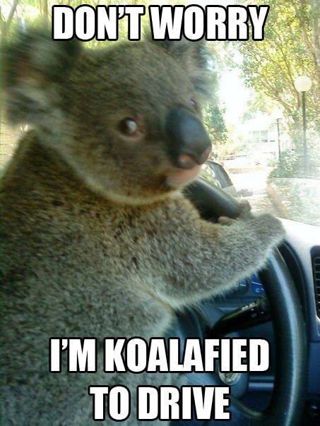 I'd let him drive me.