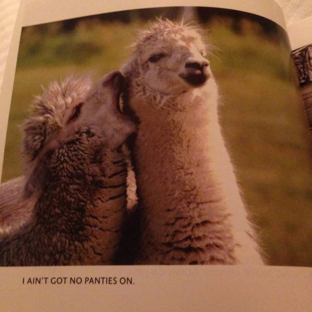 The world's greatest book.