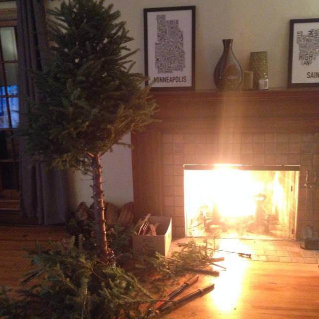 It's -23 degrees and she told me the Christmas tree had to get taken out....fine